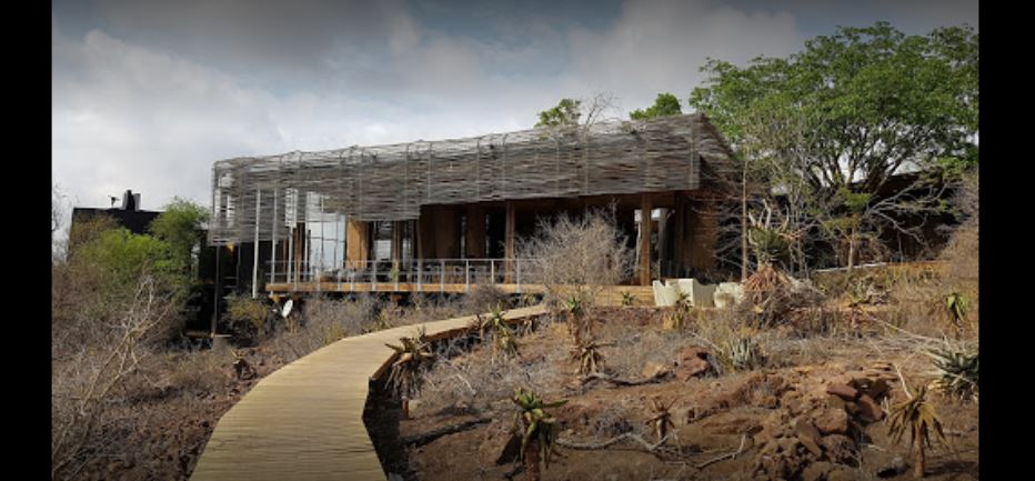 Apex Travel Club - ATC - Singita Sweni Lodge