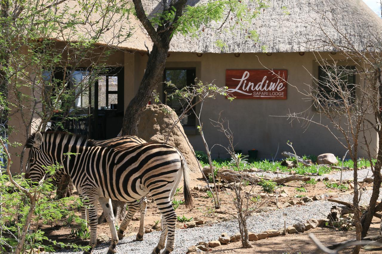 Apex Travel Club - ATC - Lindiwe Safari Lodge