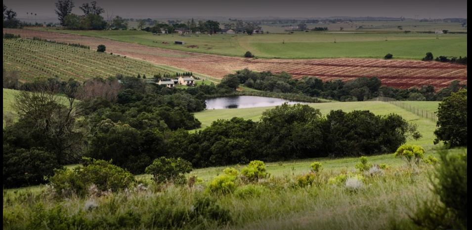 Apex Travel Club - ATC - Hakuna Matata Game Farm
