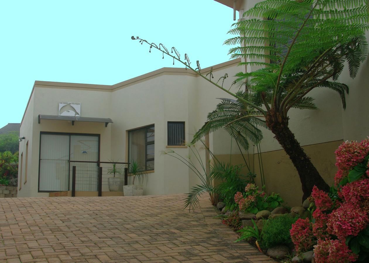 Apex Travel Club - ATC - The Third Dolphin