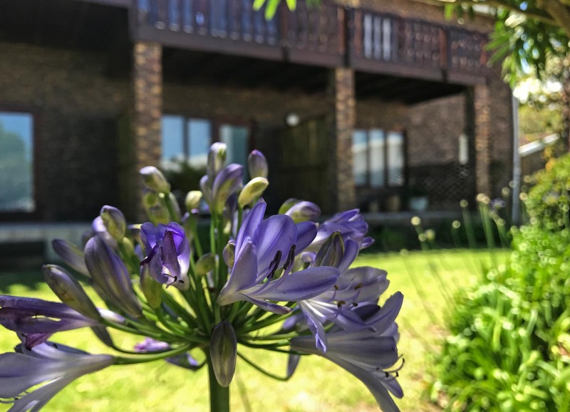Apex Travel Club - ATC - Plett Beacon House