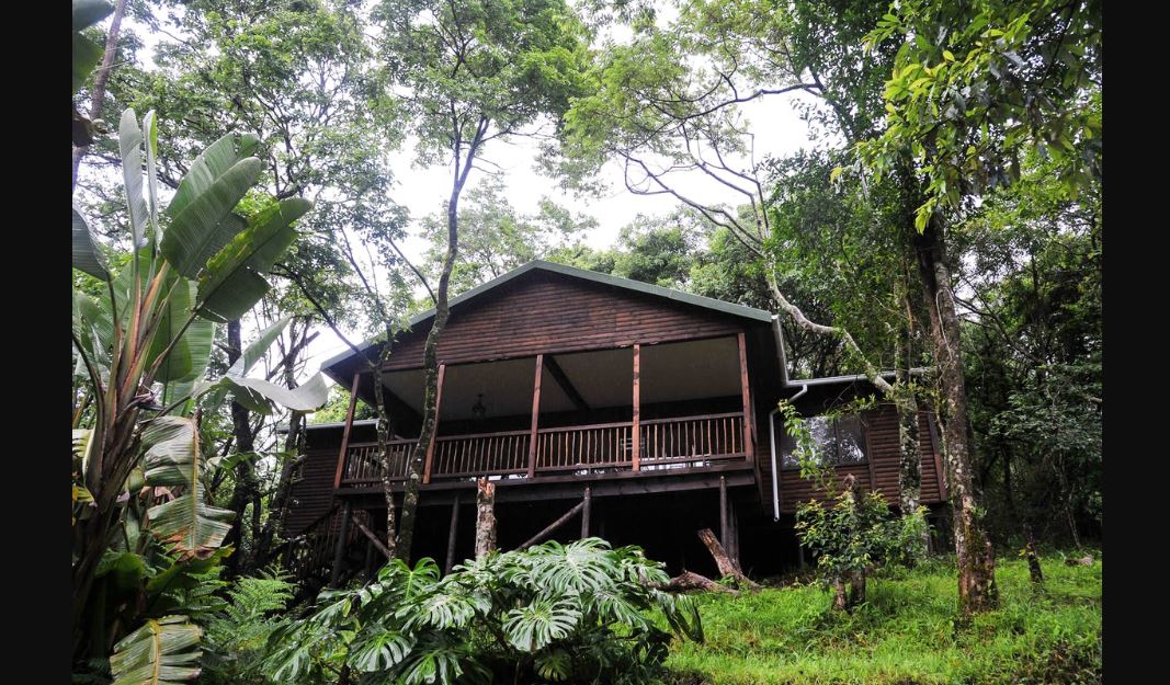 Apex Travel Club - ATC - Forest Bird Lodge