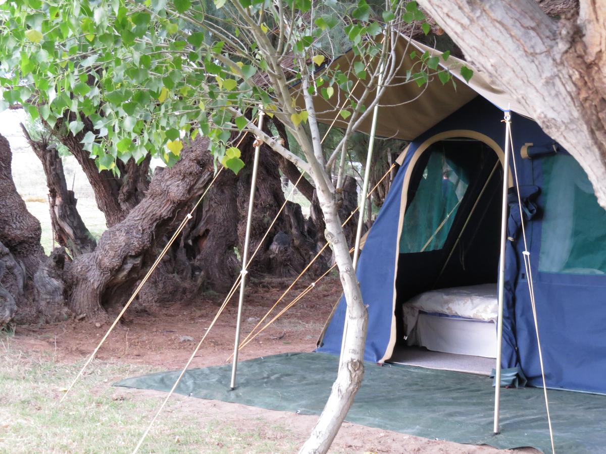 Apex Travel Club - ATC - Karoo Gariep Nature Reserve