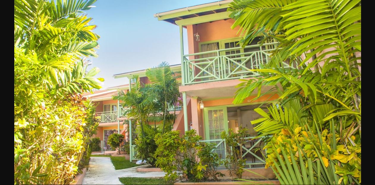 Apex Travel Club - ATC - Halcyon Palm