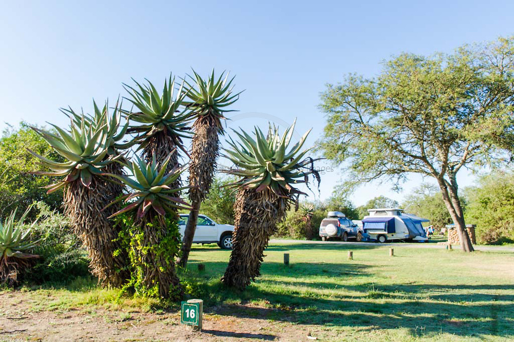 Apex Travel Club - ATC - Bontebok National Park