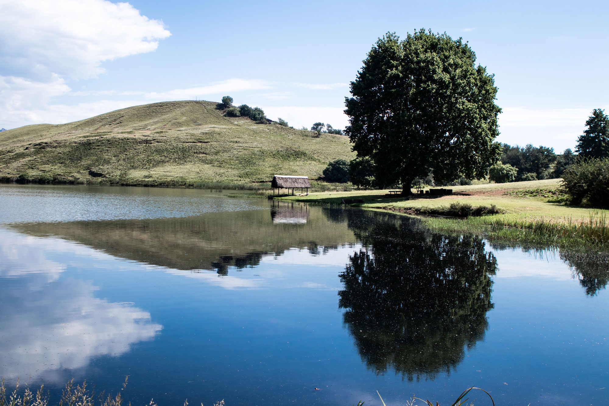 Apex Travel Club - ATC - Lake Glencairn