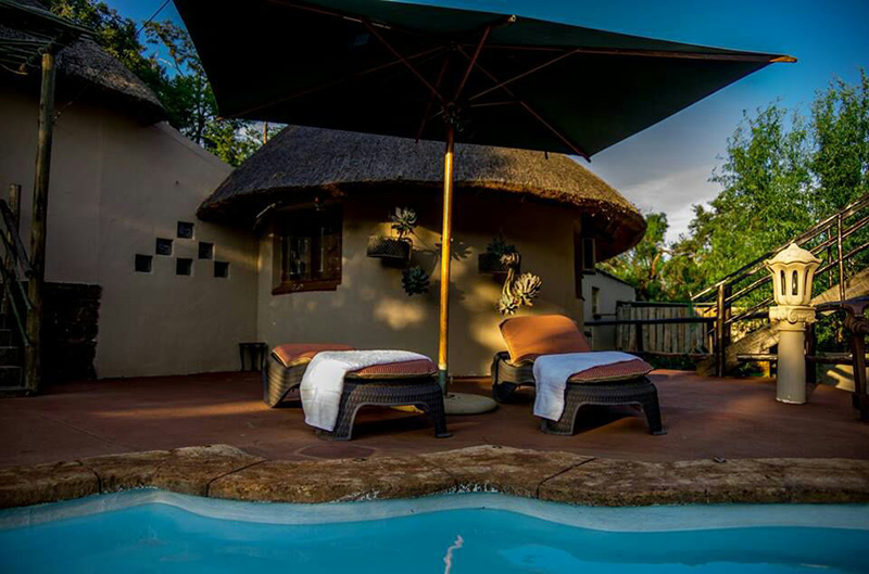 Apex Travel Club - ATC - Khululeka Bushveld Guest Farm - house hornbill