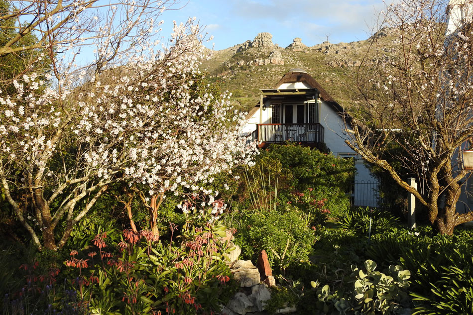 Apex Travel Club - ATC - Kairos Disa Loft Cottage