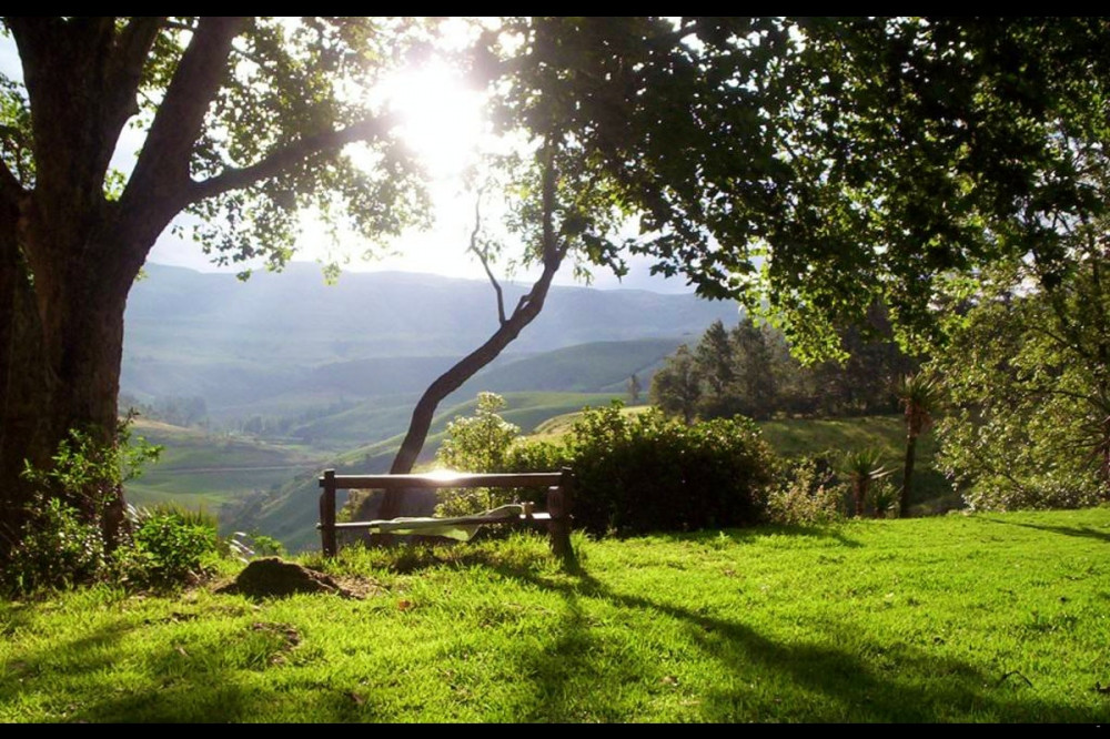 Apex Travel Club - ATC - Drakenzicht Mountain Cottage