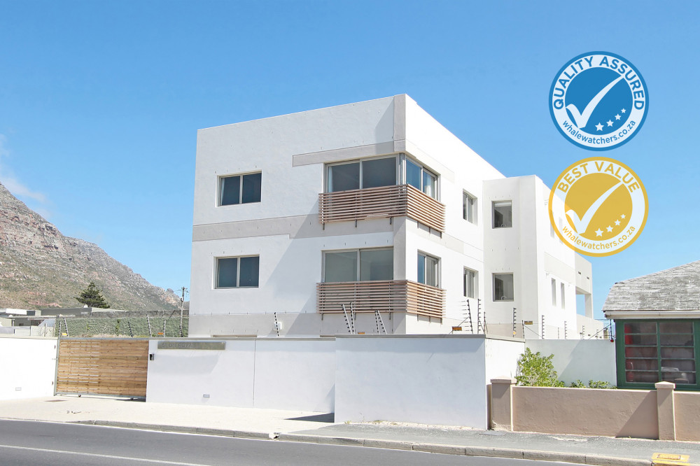 Apex Travel Club - ATC - Whale Watcher's - Regal Loft