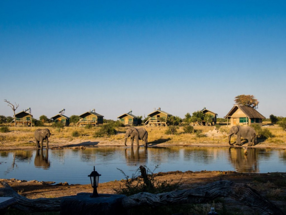 Apex Travel Club - ATC - Elephant Sands Lodge