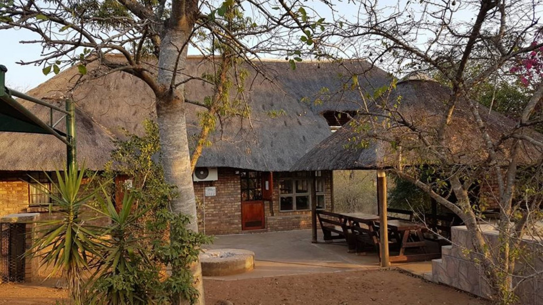 Apex Travel Club - ATC - Bosbok Marloth Park In The Bush