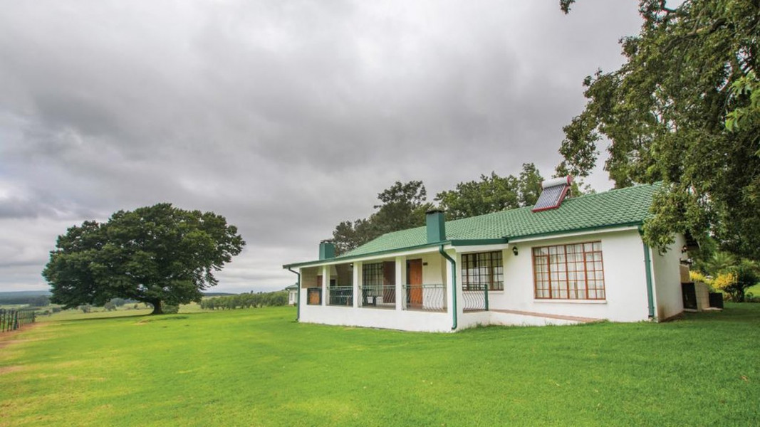 Apex Travel Club - ATC - Hoyo Hoyo Machado Stud Lodge - Misty Morns