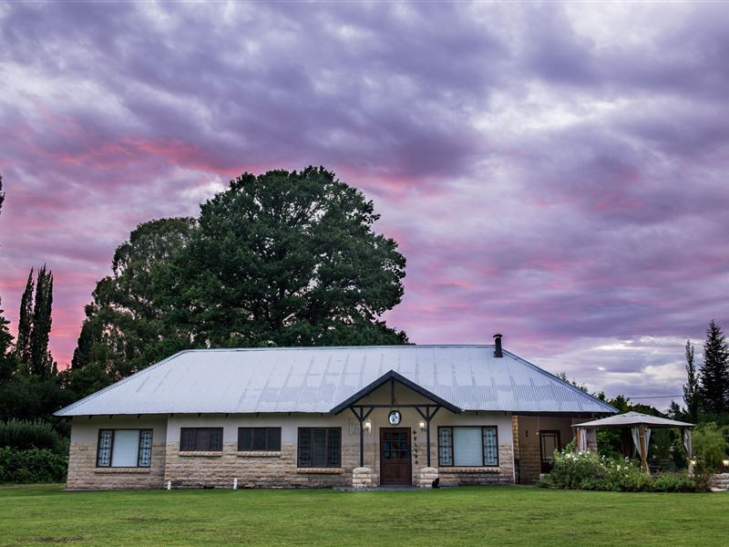 Apex Travel Club - ATC - Between The Trees