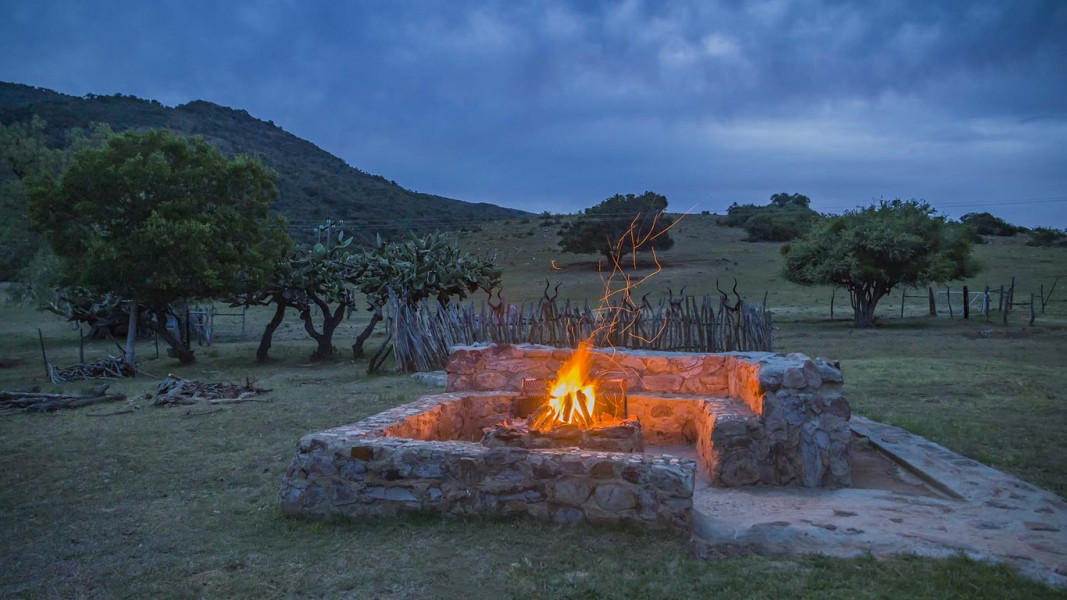 Apex Travel Club - ATC - Kromrivier Farm Stays, Addo B&B & Camping Venue