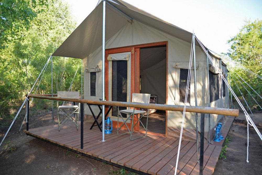Apex Travel Club - ATC - The Wild Olive Tree Camp
