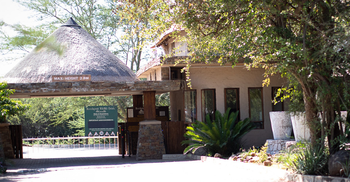 Apex Travel Club - ATC - Shongane Safaris