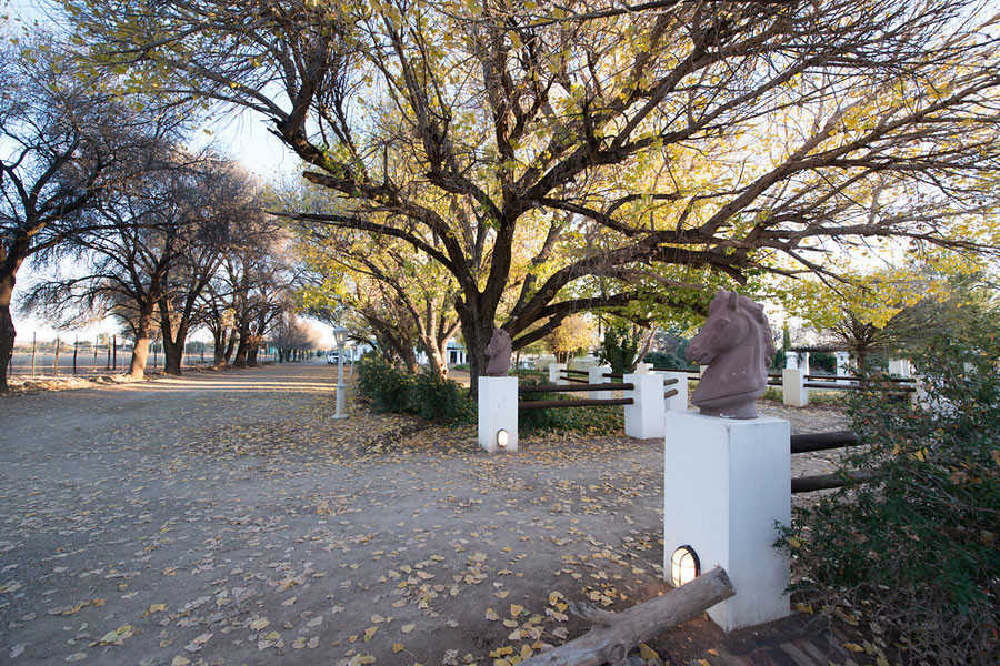 Apex Travel Club - ATC - New Holme Karoo Guest Farm