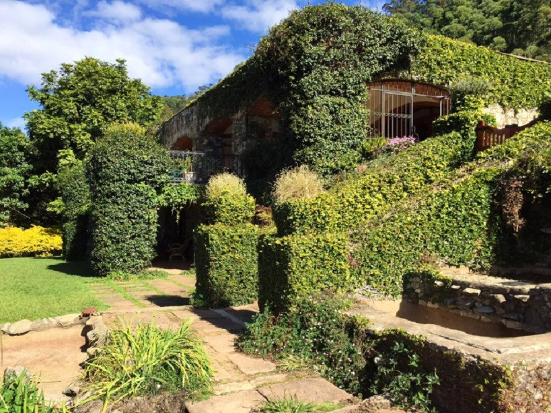 Apex Travel Club - ATC - Magoebaskloof mountain estate