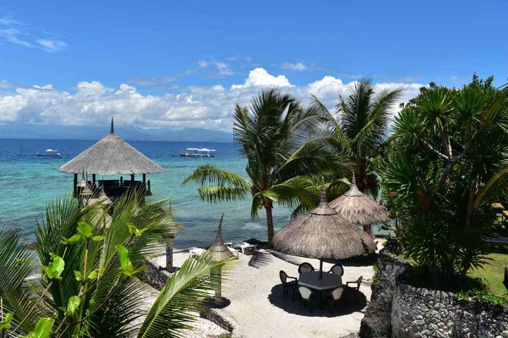 Apex Travel Club - ATC - Dolphin-House Resort-SPA-Diving