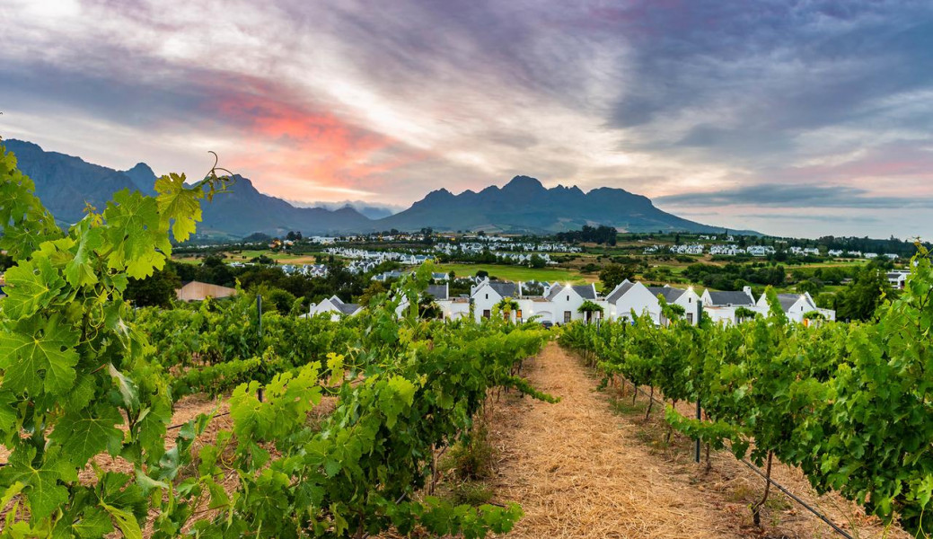Apex Travel Club - ATC - De Zalze Lodge