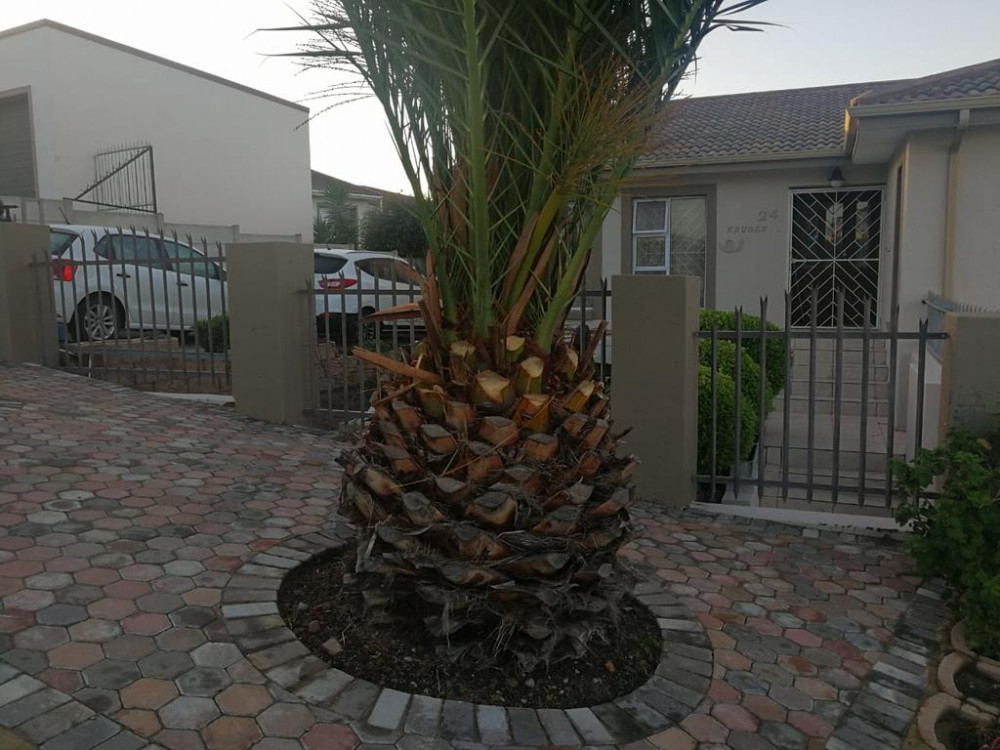 Apex Travel Club - ATC - Evelyvans Apartments - 24B Kruger Apartment