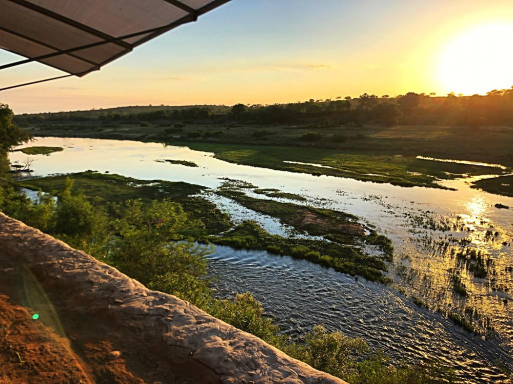 Apex Travel Club - ATC - lion Hill @ Kruger
