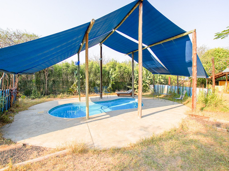 Apex Travel Club - ATC - Boteti River Camp