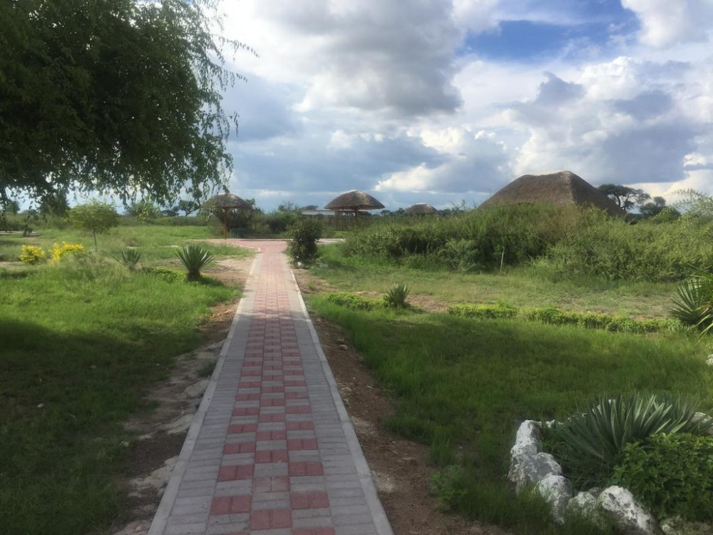Apex Travel Club - ATC - Rakops River Lodge