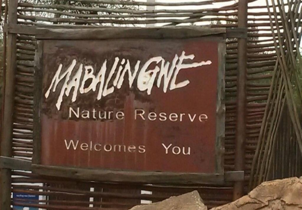 Apex Travel Club - ATC - Treetops View, Mabalingwe Game Reserve