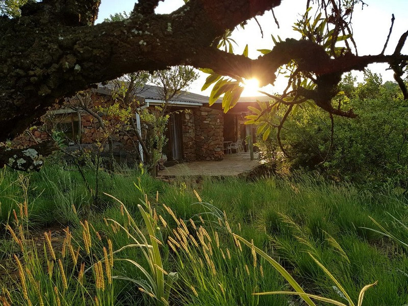 Apex Travel Club - ATC - Kokopelli farm