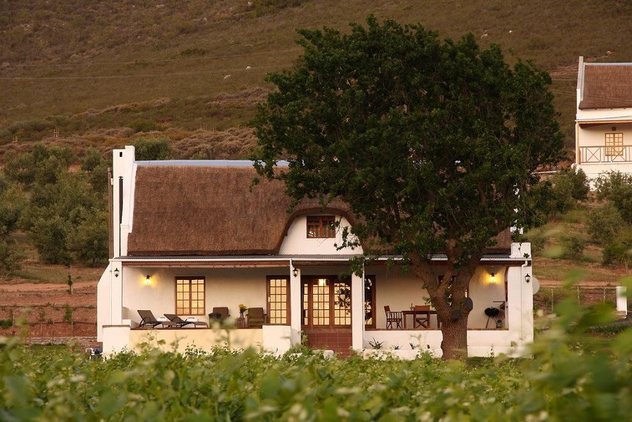Apex Travel Club - ATC - Orange Grove Farm