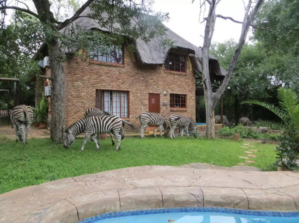 Apex Travel Club - ATC - Rafiki's Resthouse