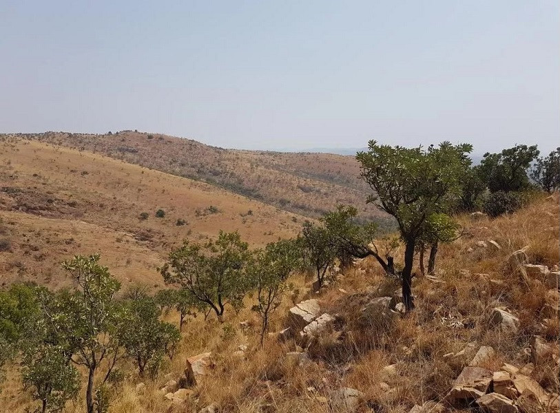 Apex Travel Club - ATC - Montanique Lodge