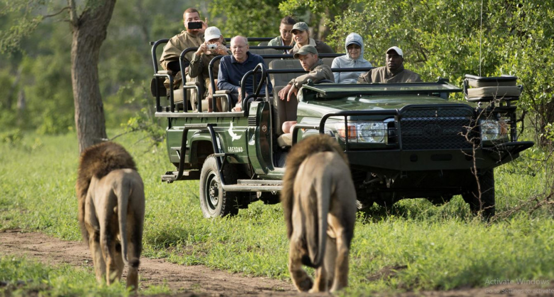 Apex Travel Club - ATC - &beyond Ngala Safari Lodge