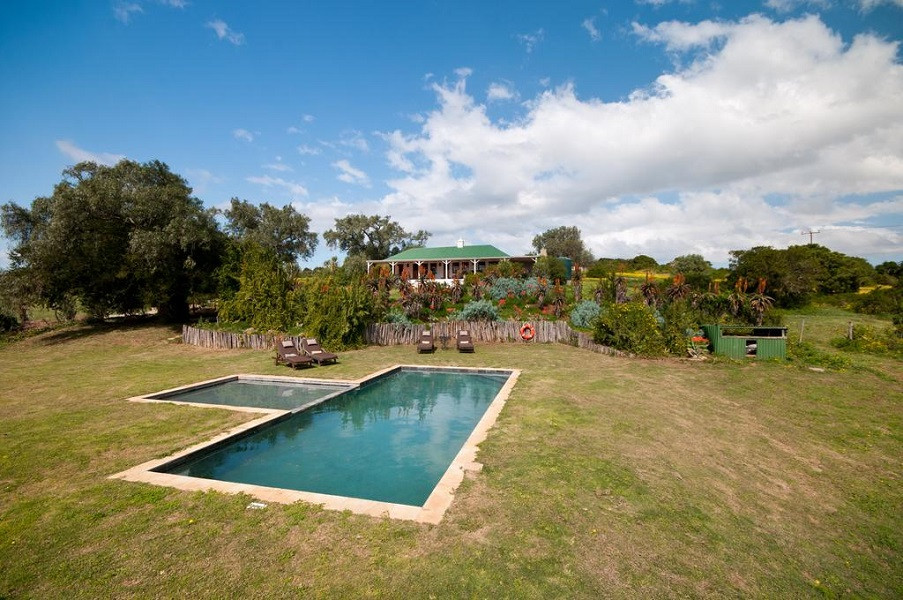 Apex Travel Club - ATC - Leeuwenbosch Shearers Lodge - Amakhala Game Reserve