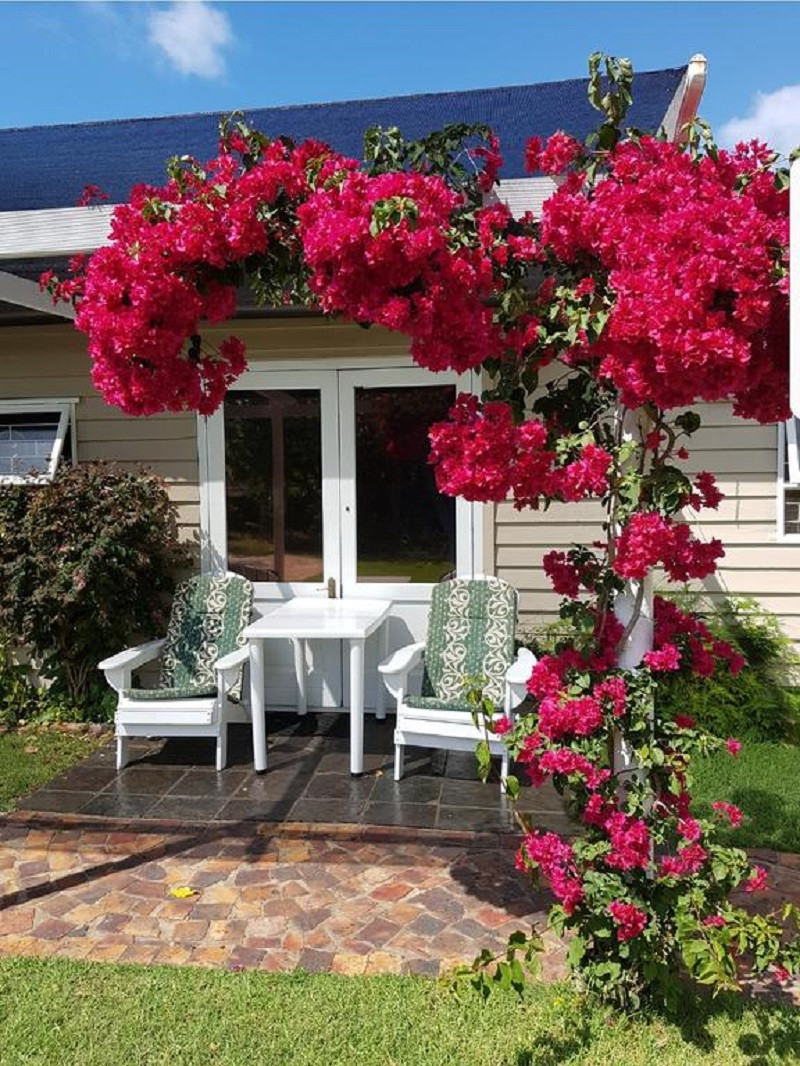 Apex Travel Club - ATC - The Island Cottage