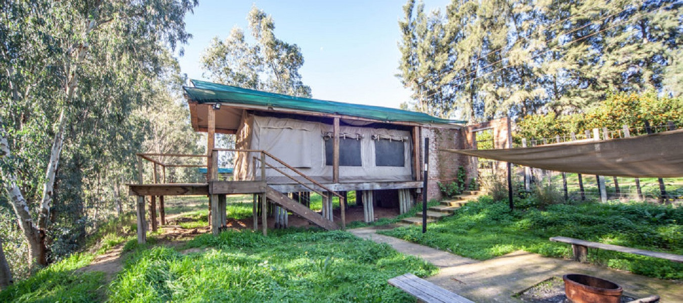 Apex Travel Club - ATC - Buffalo Drift- Glamping Tents