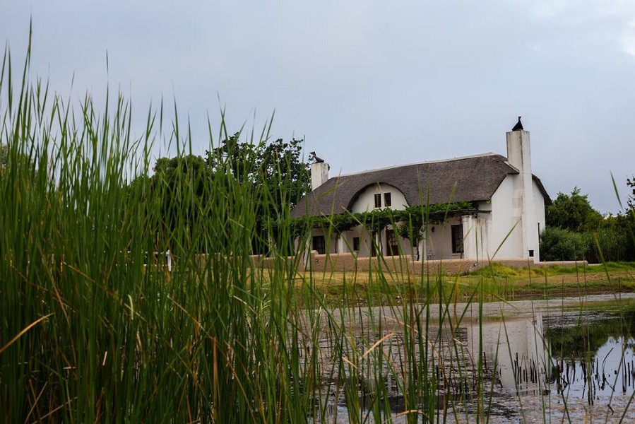 Apex Travel Club - ATC - Manley Wine Estate