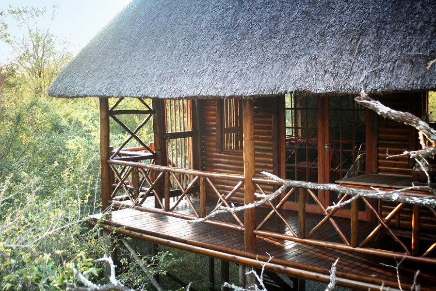 Apex Travel Club - ATC - Lion Tree Bush Lodge