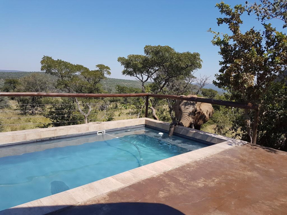 Apex Travel Club - ATC - Wild Ivory Game Lodge