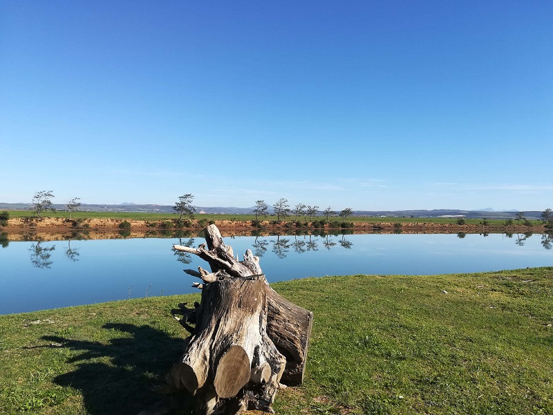 Apex Travel Club - ATC - The Ferry Hotel Gamtoos Caravan park