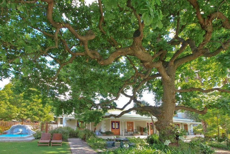 Apex Travel Club - ATC - Montagu Vines Guesthouse