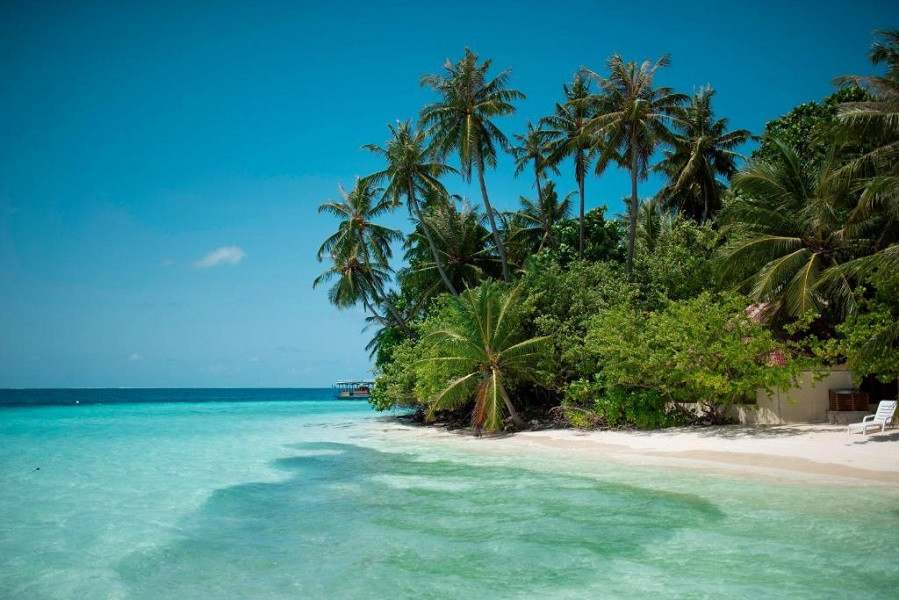 Apex Travel Club - ATC - Biyadhoo Island Resort