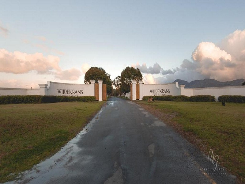 Apex Travel Club - ATC - Endless Vineyards at Wildekrans Wine Estate