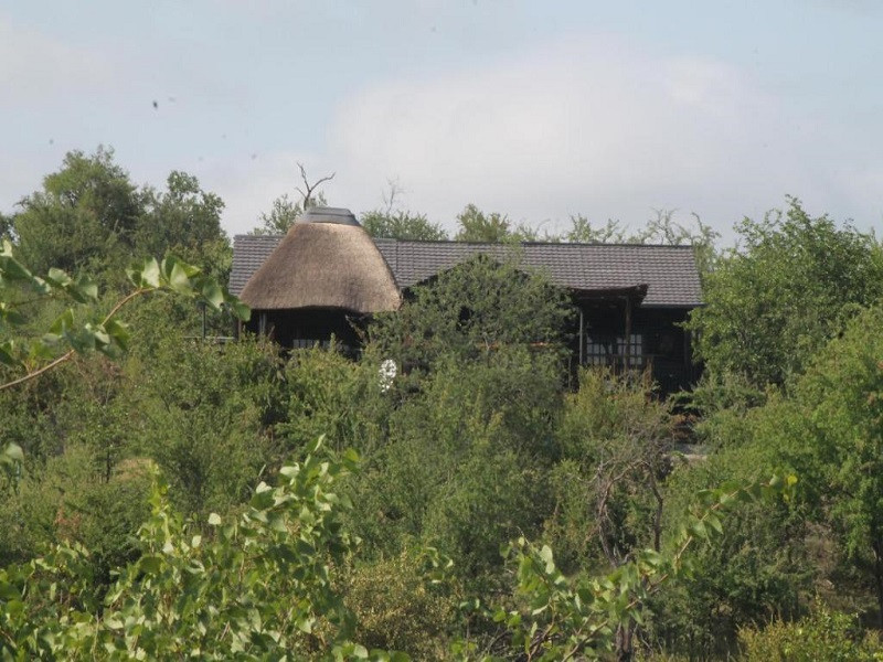 Apex Travel Club - ATC - Leopard Rock Bush Lodge