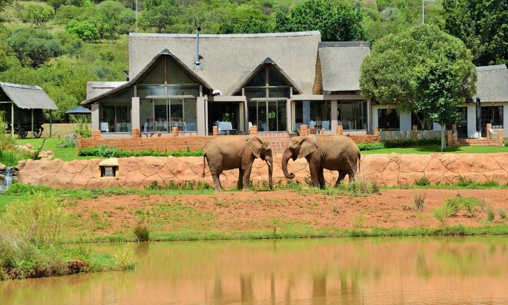 Apex Travel Club - ATC - African Hills Safari Lodge & Spa
