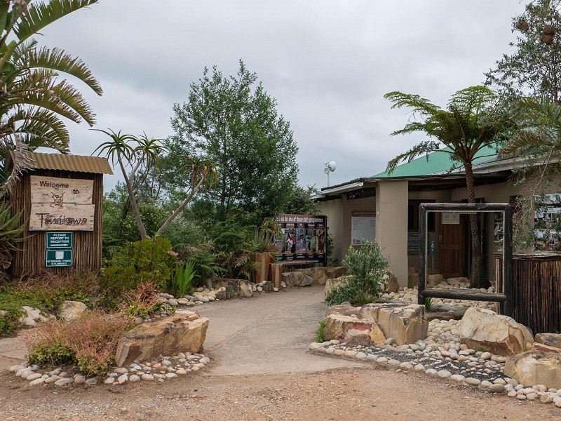 Apex Travel Club - ATC - Tenikwa Wildlife Centre