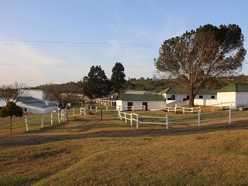 Apex Travel Club - ATC - Sierra Ranch