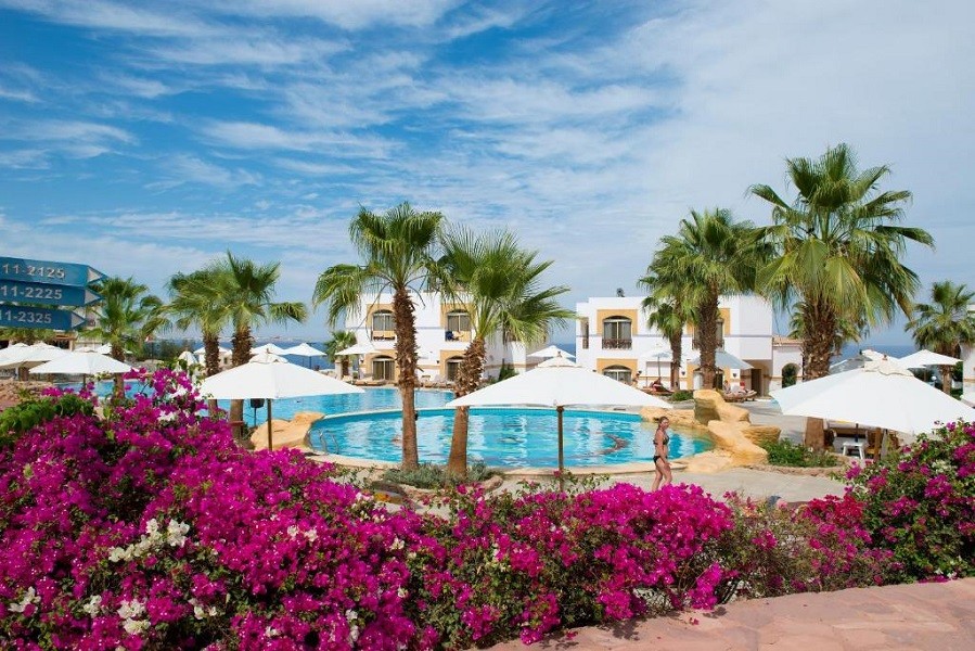 Apex Travel Club - ATC - Amphoras Blu